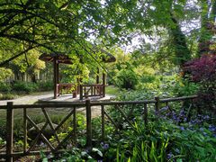 -上海共青森林公园