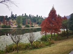 -东岳体育公园