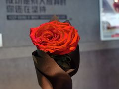 -威尔仕健身(虹桥南丰城店)