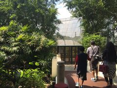 -吉隆坡雀鸟公园