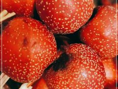 -源东食府(鹿海园小区店)