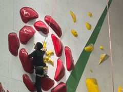 -绿壁虎攀岩基地(Tcar店)