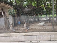 -陕西自然博物馆