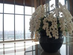 -视界美食自助餐厅·石家庄希尔顿酒店