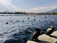 -大理洱海