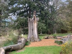 -墨尔本皇家植物园