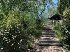 -上海佘山国家森林公园天马山园