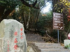 -紫金山山顶公园