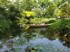 -云溪植物园