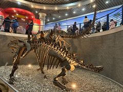 -国家自然博物馆