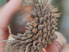 -幕燕滨江·长江观音景区