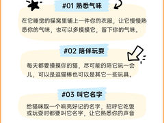 -唐小姐の猫狗洗护·购宠旗舰店(周浦万达店)