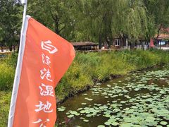 -白渔泡湿地公园