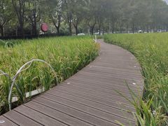 -证大喜玛拉雅中心