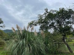 -杭州植物园