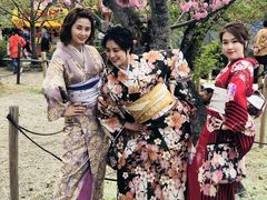 -有栖山 清光院 清水寺