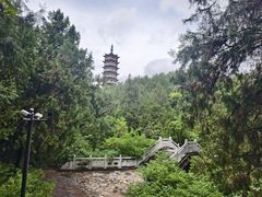 -青檀寺景区