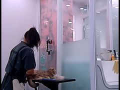 -爱洗澡的猫(望京店)