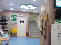 -天使宠物医院·犬猫分诊(彩虹店)