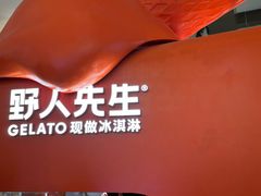 -野人先生现做冰淇淋(北京王府井东方新天地店)