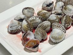 血蛤-华盛丰温州大排档(东三环南路店)