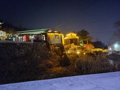 -鲁菜根·泰山菜(泰山店)