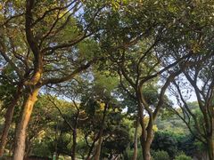 -云溪植物园