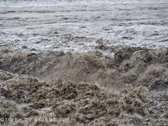 -观潮胜地公园