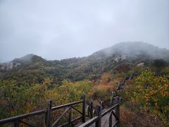 -大岭沟猕猴桃谷风景区