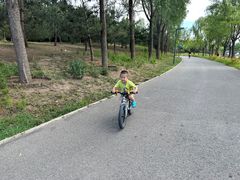 -东郊湿地公园