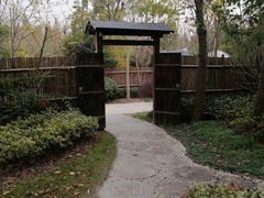 -上海海湾国家森林公园