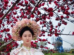 -荷兰花海