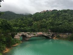 -竹林农庄