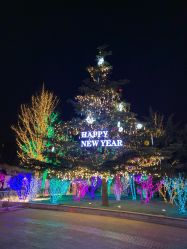 -Early Rider 儿童自行车(蓝色港湾店)