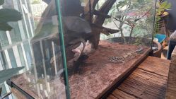 -周忆刺青原创设计定制