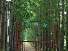 -金岛生态园烧烤露营地