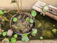 -炊江南·上海菜(国展华漕店)
