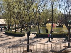 -朝阳公园游乐园