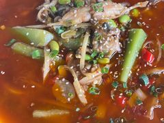青豆烧美蛙-苏记溪河鲢鱼庄(天府新区店)