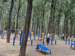 -森林公园(尖草坪区)