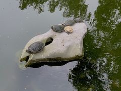 -龙华寺
