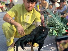 -西双版纳傣族园