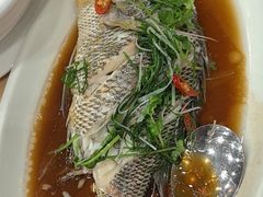 -海港餐厅·平价海鲜·茶点(小公园店)