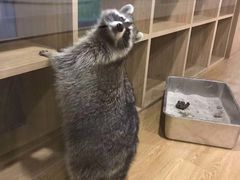 -藦茜花园宠物主题亲子互动体验馆(国顺东路店)