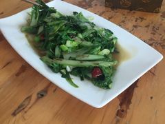 -y牌太安鱼