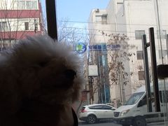 -康乐宝动物医院