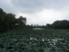 -新江湾城公园
