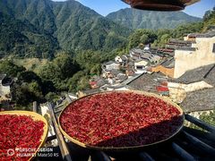 -禾斗海鲜自助(城阳宝龙店)