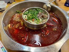 -金鼎雪山牦牛杂火锅(理县总店)