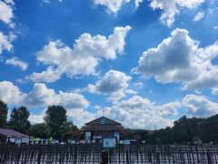 -沈阳森林动物园